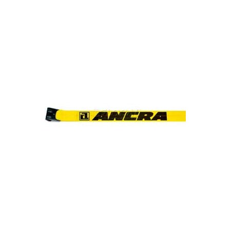 Ancra International Ancra 41660-10-30 3" x 30' Winch Strap with 41766-18 Flat Hook 41660-10-30